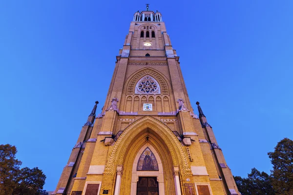Базиліка Святого Станіслава Костка в Лодзі — стокове фото