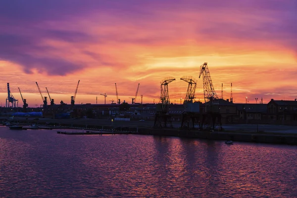 Old cranes in Szczecin — Stock Photo, Image