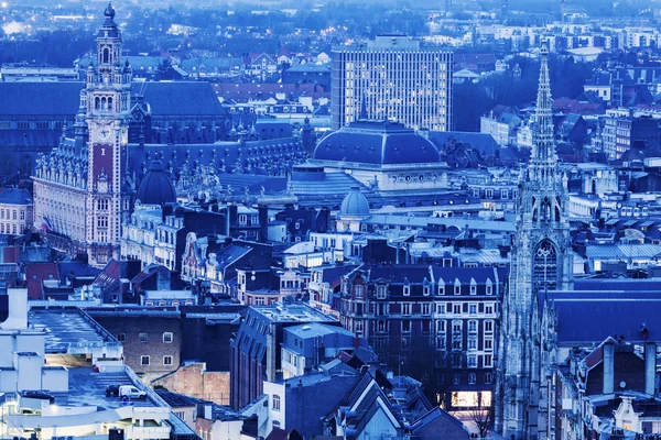 Luftfoto af Lille - Stock-foto