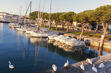 Bir Desenzano del Garda Desenzano limanda