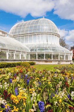Belfast Palm House
