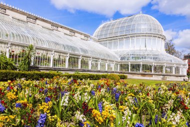Belfast Palm House