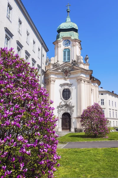 Priesterseminarkirche w mieście Linz. — Zdjęcie stockowe