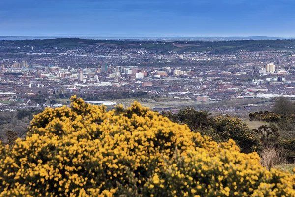 Aerial panorama över Belfast — Stockfoto