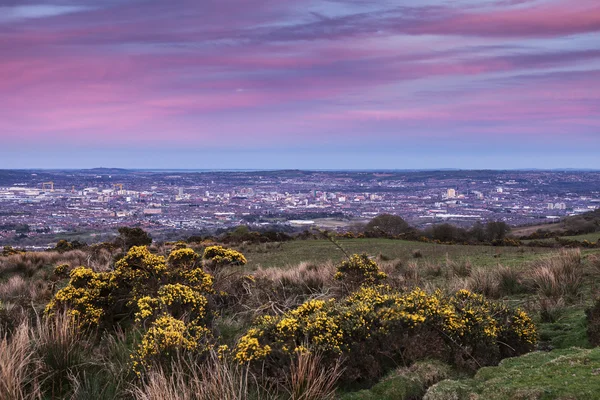 Aerial panorama över Belfast — Stockfoto