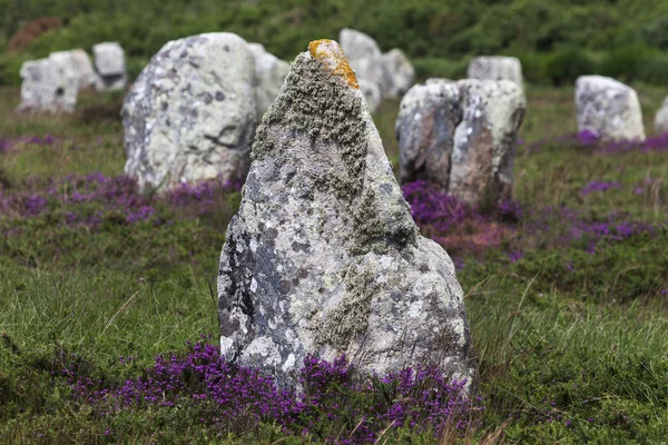 Pedras de carnac em Francia — Fotografia de Stock
