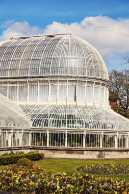 Belfast Palm House