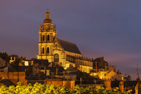 Saint-Louis katedralen i Blois — Stockfoto
