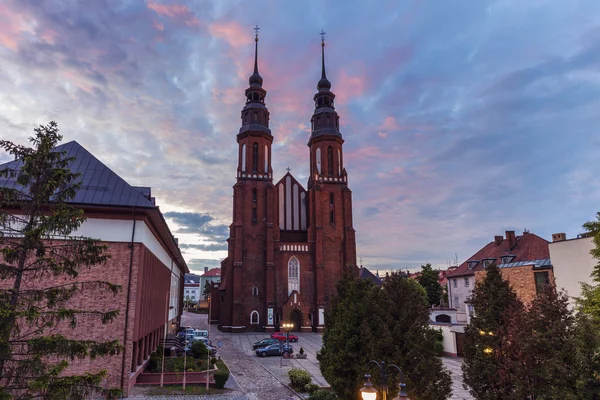 Holy Cross kathedraal in Opole — Stockfoto