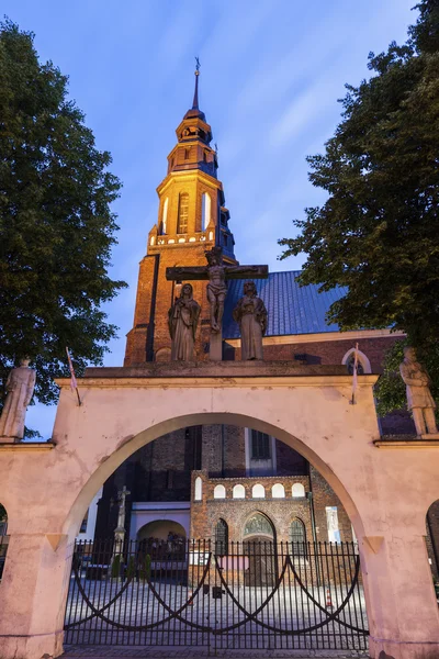 Cattedrale di Santa Croce a Opole — Foto Stock