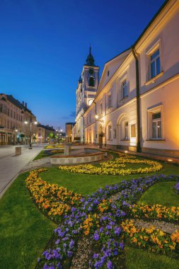 Rzeszow 'daki St. Cross Kilisesi. Rzeszow, Subcarpathia, Polonya.