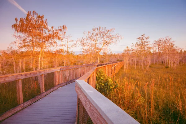 Everglades Nationaal Park Florida Verenigde Staten — Stockfoto