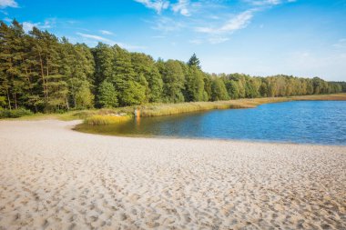 Roztocze Ulusal Parkı 'ndaki plaj. Zwierzyniec, Lubelskie, Polonya.
