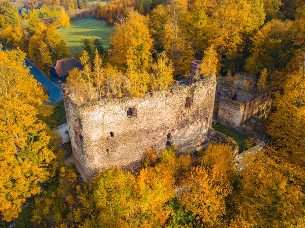 Ruinas Del Castillo Swiecie Swiecie Baja Silesia Polonia —  Fotos de Stock