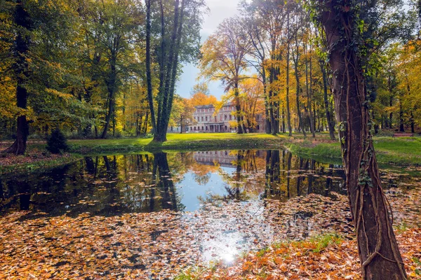 Ruins Palace Zatonie Zatonie Lubusz Poland — Stock Photo, Image