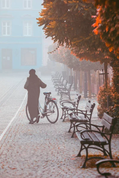 Old Town Olesnica Fog Olesnica Lower Silesia Poland — Stock Photo, Image