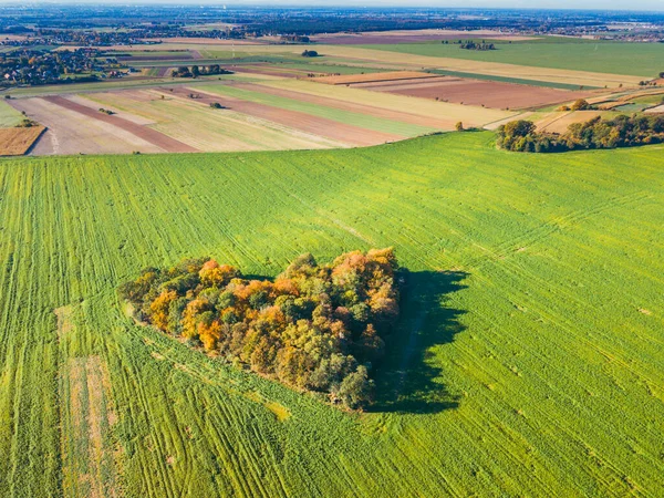 Herz Auf Dem Feld Niederschlesien Polen — Stockfoto