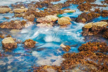 Tongatapu Adası kıyısı. Nuku'Alofa, Tongatapu, Tonga.