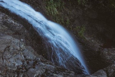 Springbrook Ulusal Parkı 'ndaki şelaleler. Queensland, Avustralya.