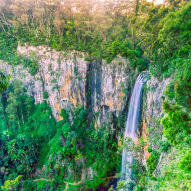 Tamborine Şelalesi Tamborine Ulusal Parkı, Queensland, Avustralya