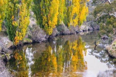 Kosciuszko Ulusal Parkı. Harrington, Yeni Güney Galler, Avustralya.