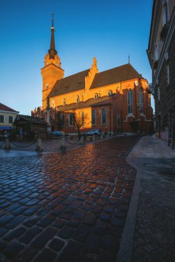 Tarnow 'daki katedral. Tarnow, Küçük Polonya, Polonya.