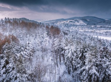 Przadki Kayası rezervi. Czarnorzeki, Subcarpathia, Polonya.