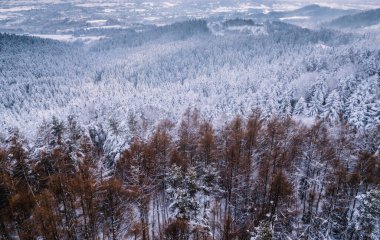Przadki Kayası rezervi. Czarnorzeki, Subcarpathia, Polonya.