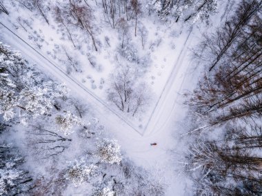 Przadki Kayası rezervi. Czarnorzeki, Subcarpathia, Polonya.