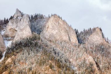 Pieniny Ulusal Parkı 'nda üç kron. Daha az Polonya, Polonya.