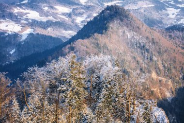 Pieniny Ulusal Parkı. Daha az Polonya, Polonya.
