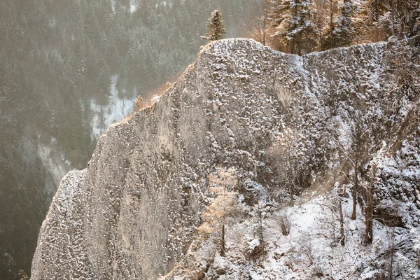 Pieninys Nationalpark Mindre Polen Polen — Stockfoto