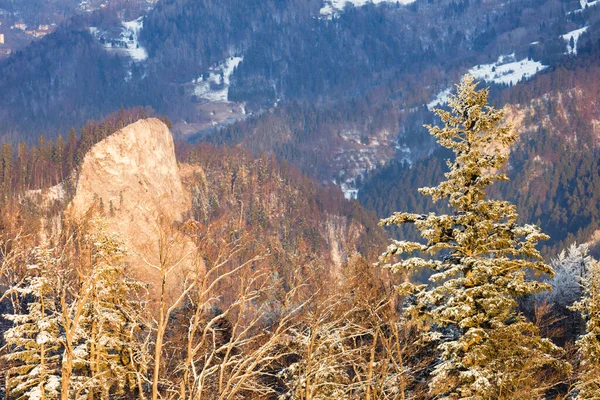 Εθνικό Πάρκο Pieniny Λιγότερο Πολωνία Πολωνία — Φωτογραφία Αρχείου