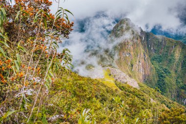 Machu Picchu Panoraması. Peru.