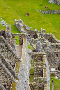 Machu Picchu Panoraması. Peru.