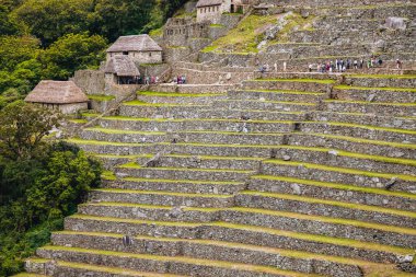 Machu Picchu Panoraması. Cuzco Bölgesi, Peru.