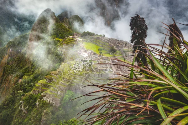 Machu Picchu Panorama Perú —  Fotos de Stock