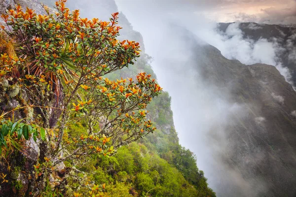 Panorama Machu Picchu Perù — Foto Stock