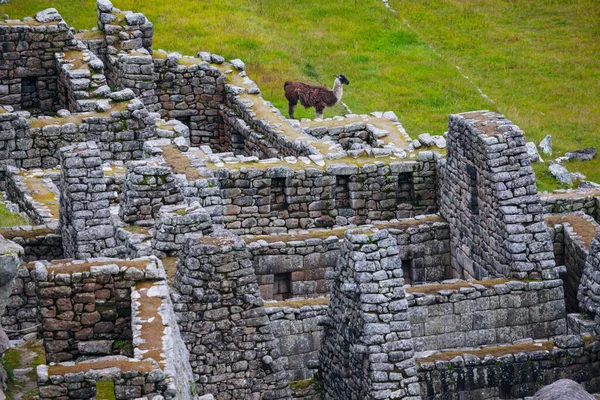 Machu Picchu Panorama Peru — Stockfoto