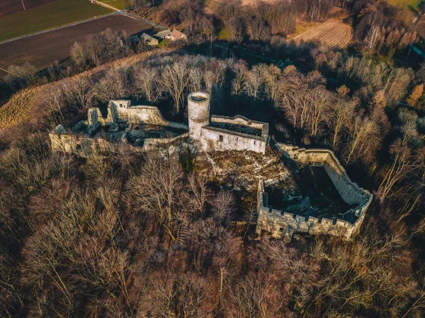 Pilcza Castle Smolen Smolen Subcarpathia Poland — Stock Photo, Image