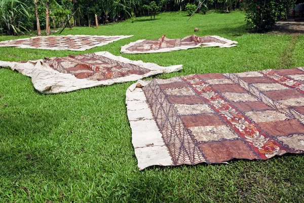 Tongan tapas secagem na grama — Fotografia de Stock