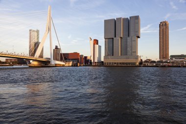 Rotterdam manzarası ile Erasmus Köprüsü 
