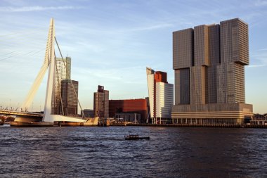 Rotterdam manzarası ile Erasmus Köprüsü