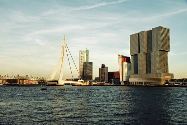 Horizonte de Rotterdam con el puente Erasmus — Foto de Stock