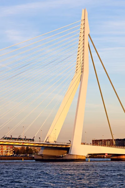 Erasmusový most — Stock fotografie