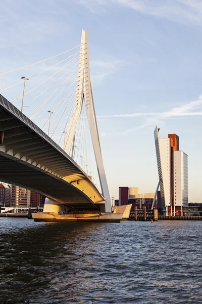 Puente Erasmus — Foto de Stock