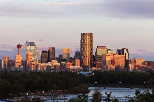 Calgary Panoraması — Stok fotoğraf