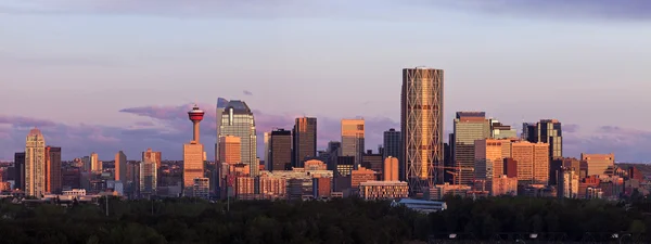 Panorama of Calgary at sunrise — Stock Photo, Image