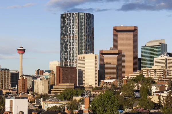 Calgary Panoraması — Stok fotoğraf