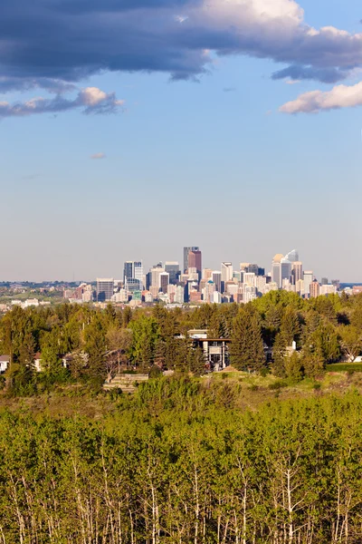 Vista a distanza di Calgary — Foto Stock